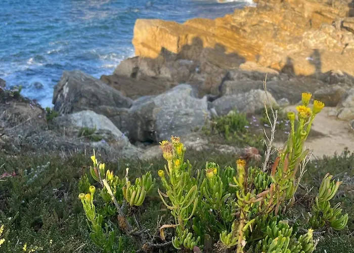 Peniche Hostel Hostel *